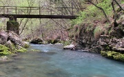 SORGENTE DEL TORRENTE ENNA. -  FOTOGALLERY